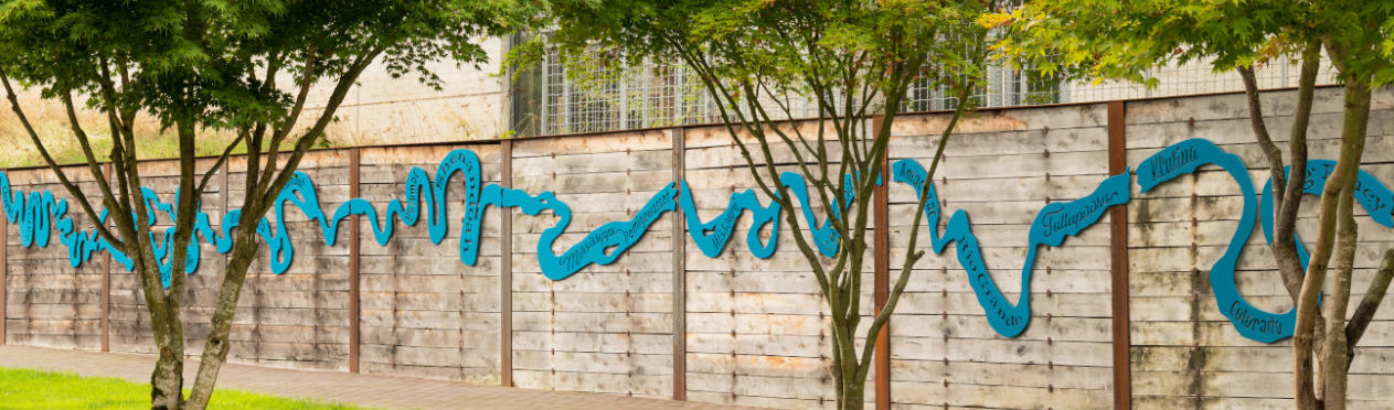 A long, twisting and winding, turquoise blue, ribbon-like artwork is attached to a wooden fence. There are text cutouts on the artwork. There are trees in the foreground and buildings in the background.
