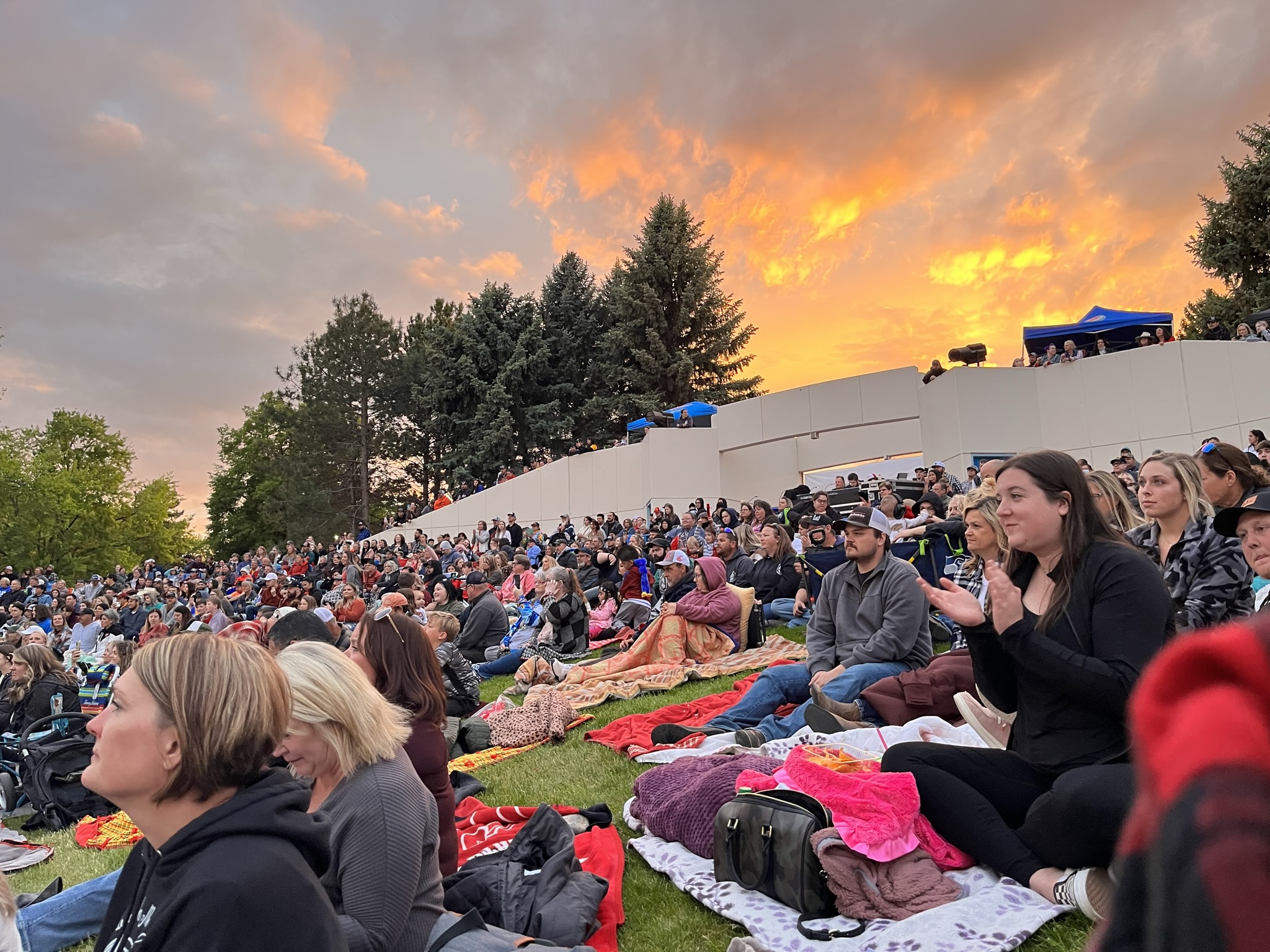 crowd of people at outdoor concert